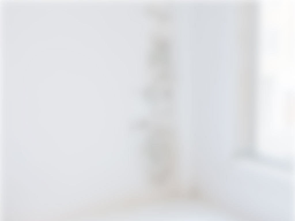 White blurred background