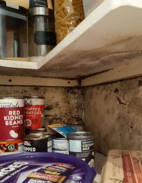 Canned goods and food items stored under a kitchen cabinet.
