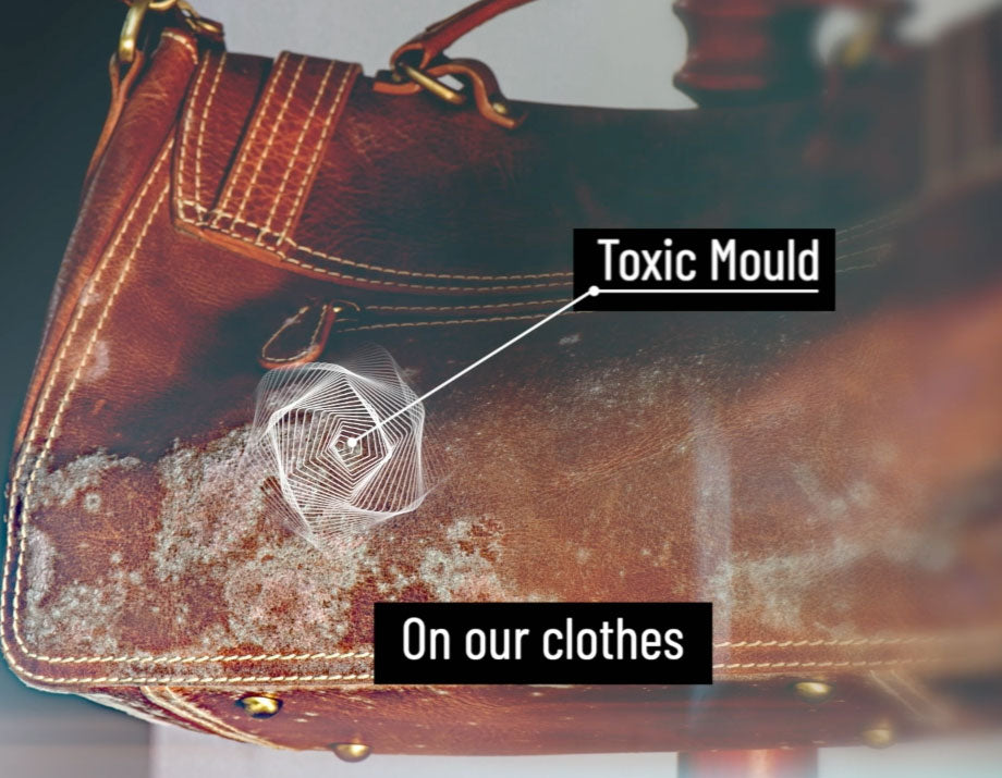 Brown leather handbag with visible mold growth and text labels pointing to 'Toxic Mould' and 'On our clothes'.
