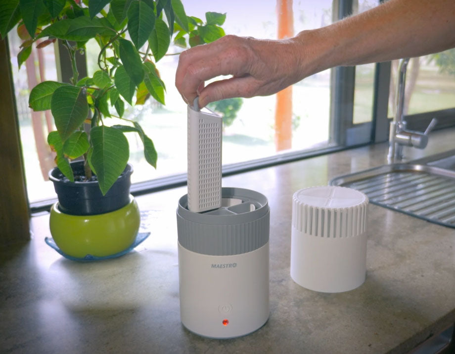 Person using a handheld device on a kitchen counter with a plant in the background